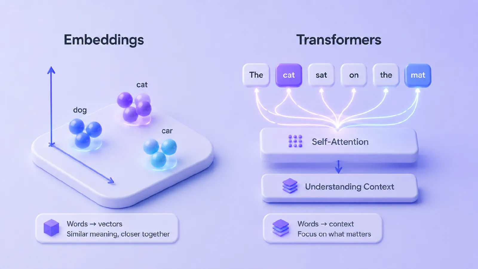 Embeddings and Transformers (What They Do)