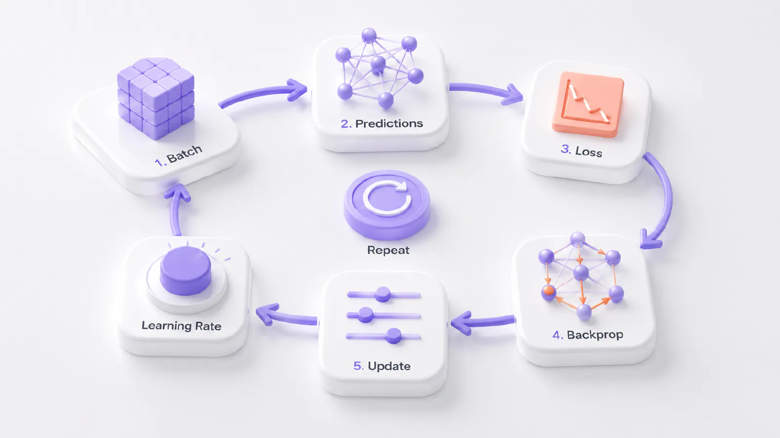 The training loop explained simply